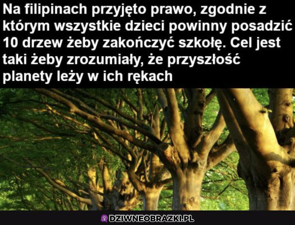 Filipiny lata świetne przed nami