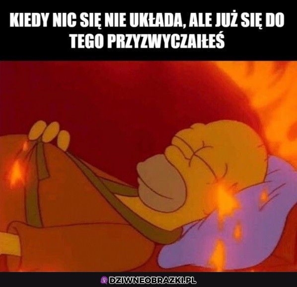 Jest jak jest