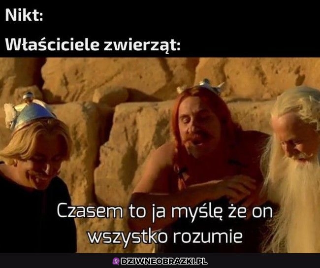 I specjalnie ignoruje