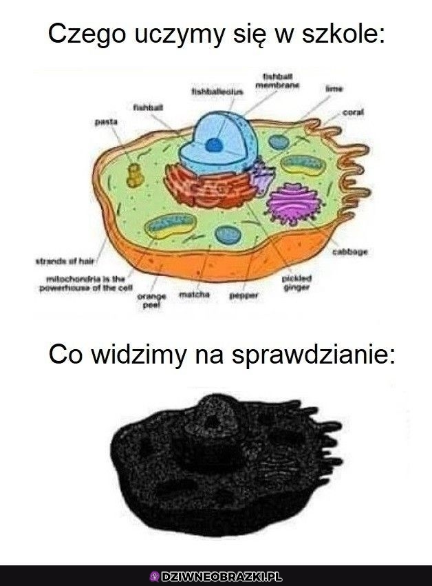 No cóż