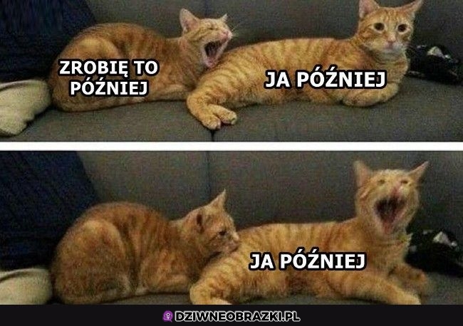 Zawsze to samo
