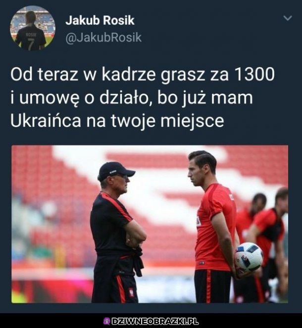 Krychowiak