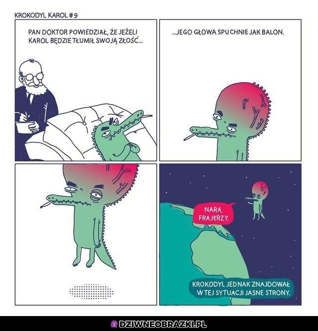 Krokodyl Karol Krokodyl Karol