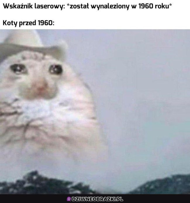Przed wskaźnikiem laserowym