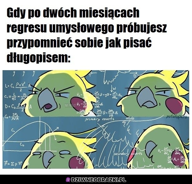 Jezu co się dzieje