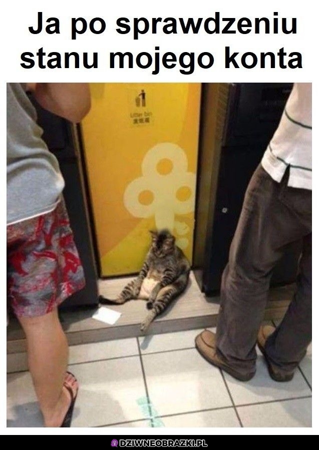 Ten moment Ten moment