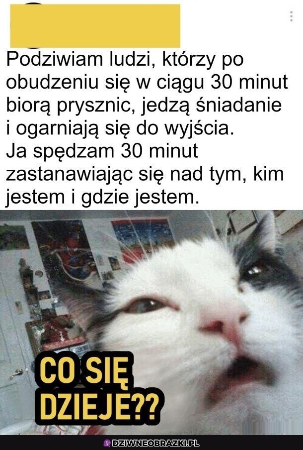 Szacun dla nich