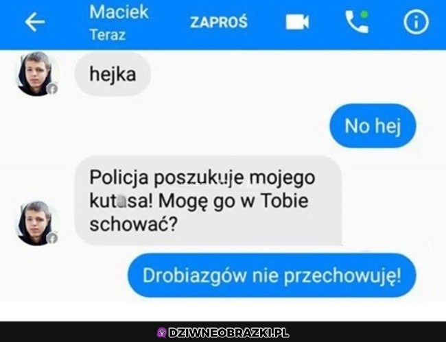 Hejka, można coś schować?