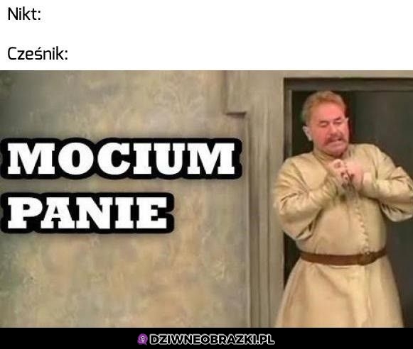 Mocium panie