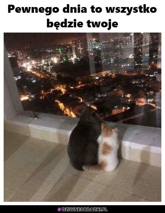 Pamiętaj