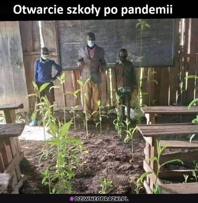 A jak tam wasze?