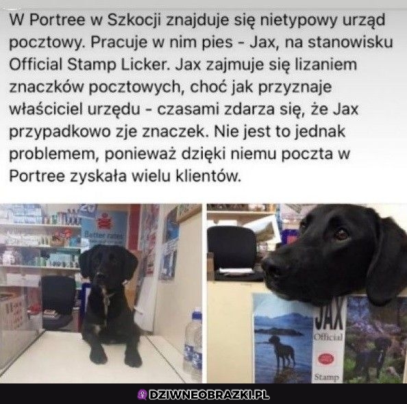 Najlepszy pracownik