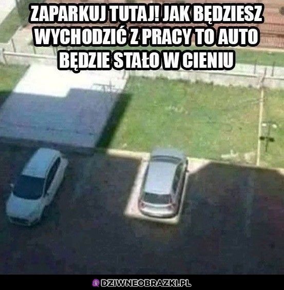 Peszek