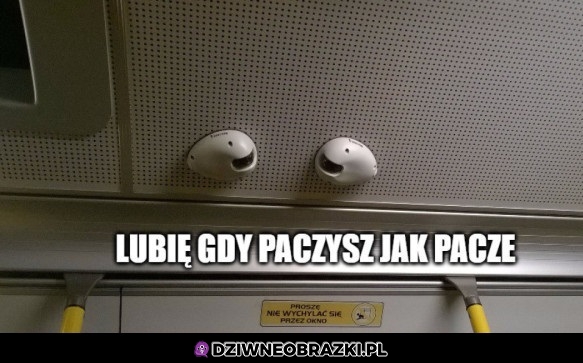 Paczanie