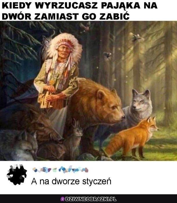W sumie ładna wiosna tej zimy