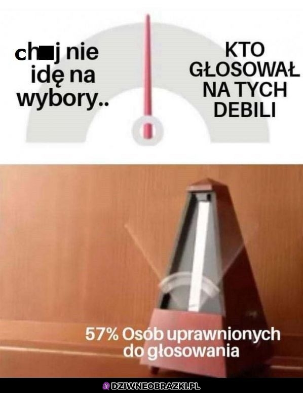 Taki ich wygląd