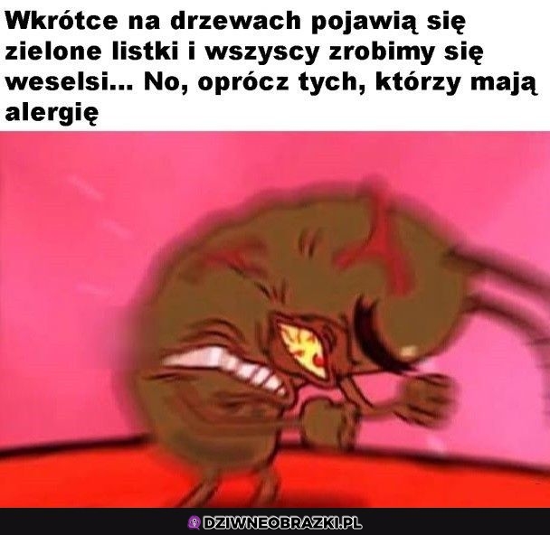 To już zaraz