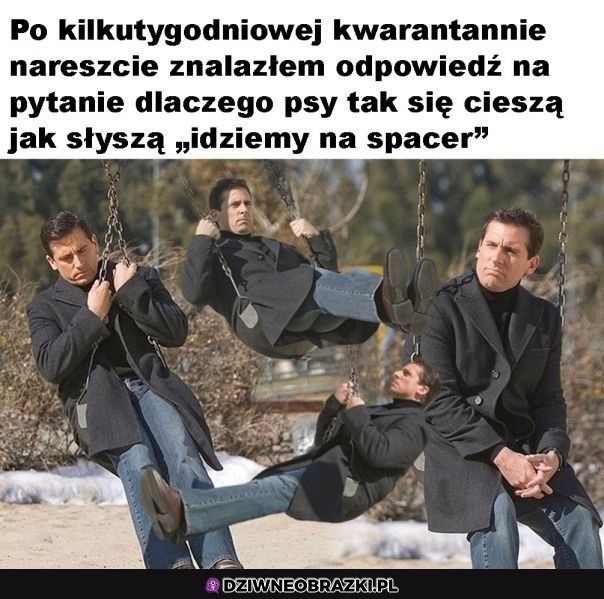 Teraz to rozumiem