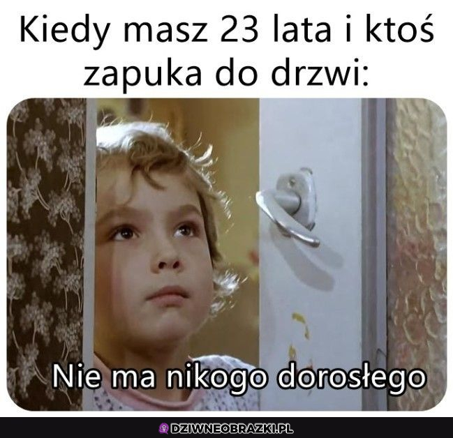 Nie ma nikogo