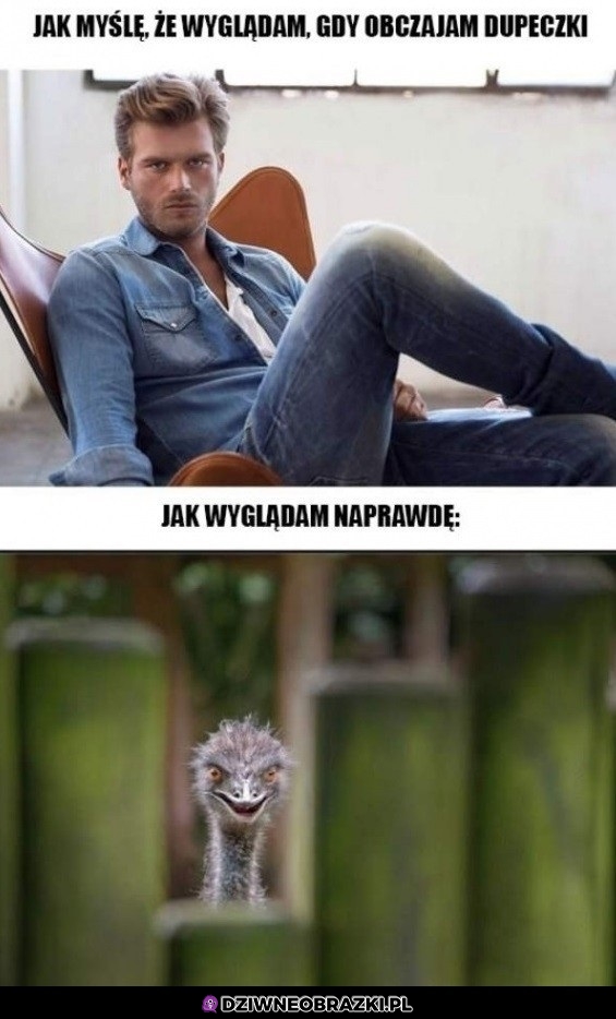 Obczajanie