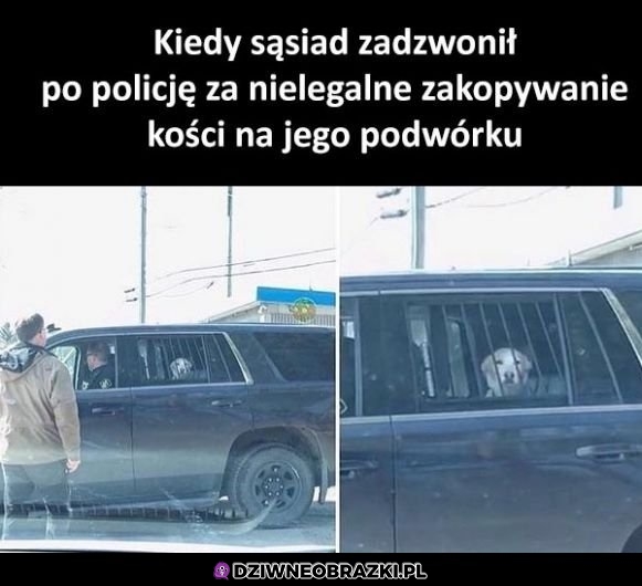 Jednak nie był dobrym chłopcem