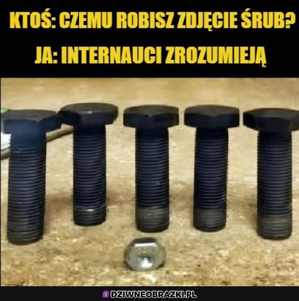 Rozumiecie?