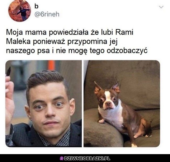 Podobni?