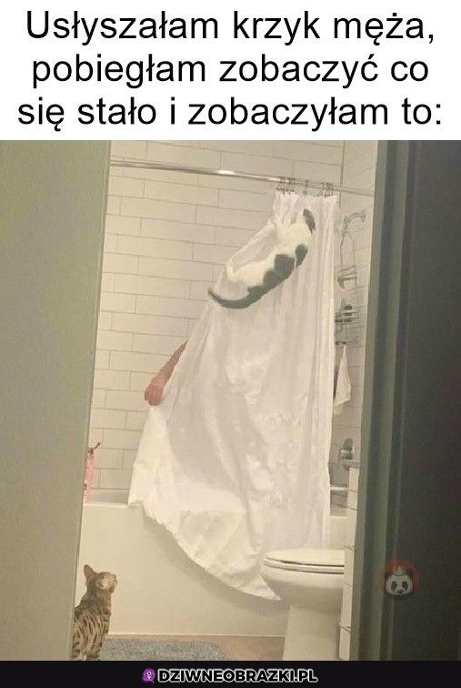 Poważna sytuacja
