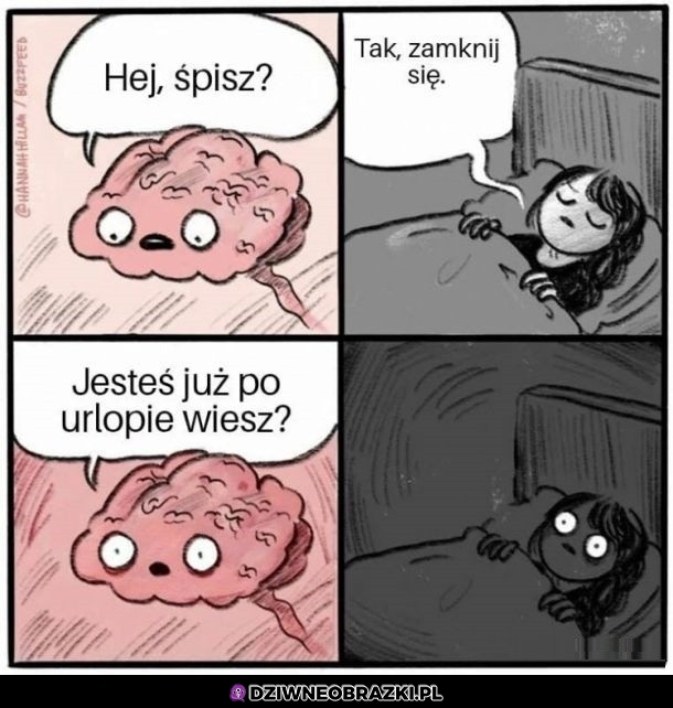 No kurwa no nie