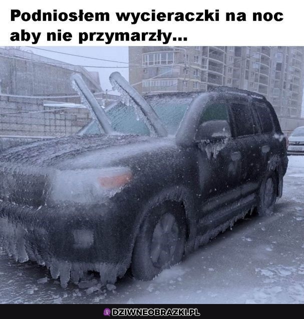 Pomogło