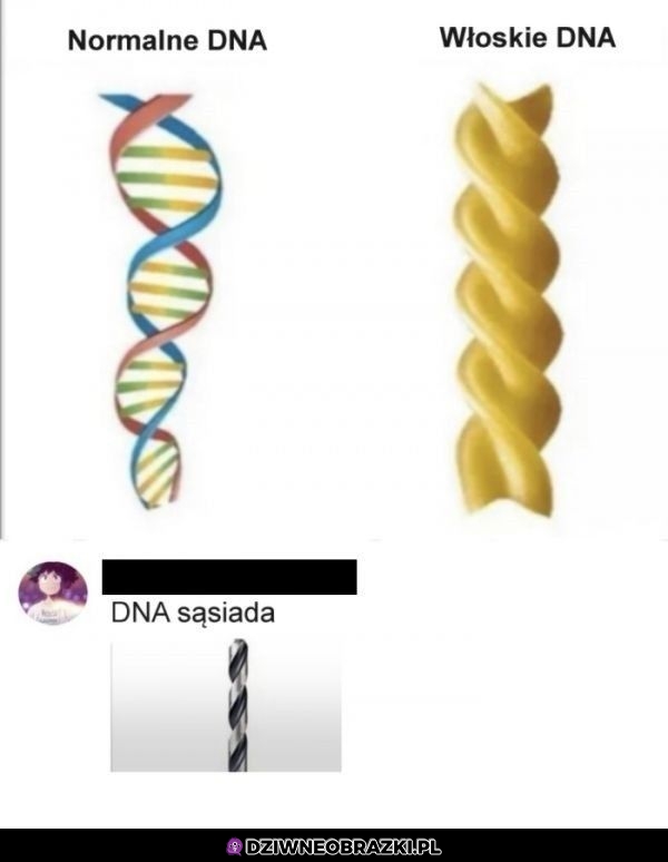 DNA