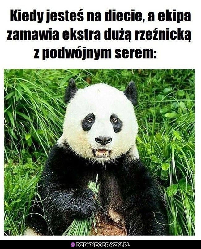 Ten moment Ten moment