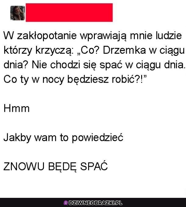 Drzemki w ciągu dnia są najlepsze