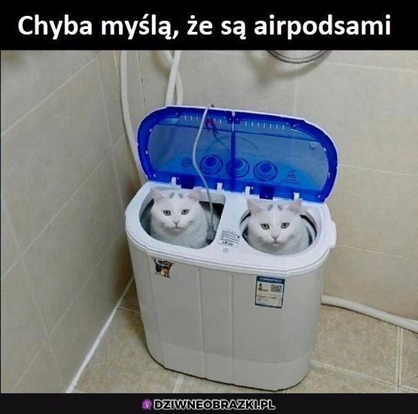 Airpodsy