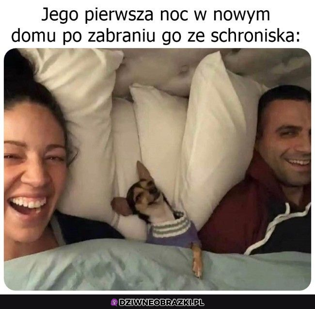 Warto pomagać 