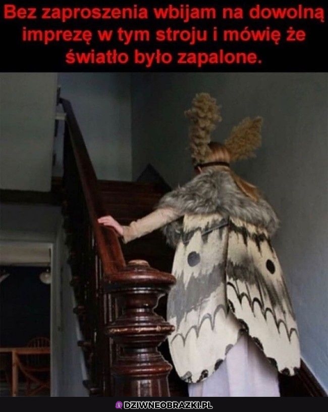 W takim stroju zapraszam