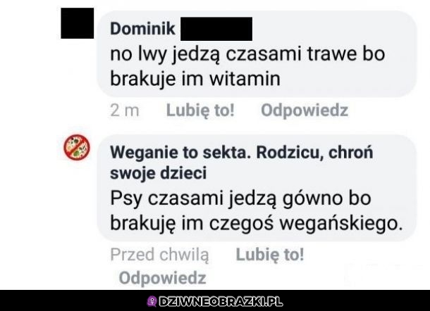 Potężny pocisk po weganach i ich diecie