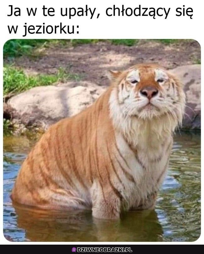 Ja podczas  tego gorąca