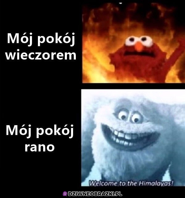 Tak wygląda