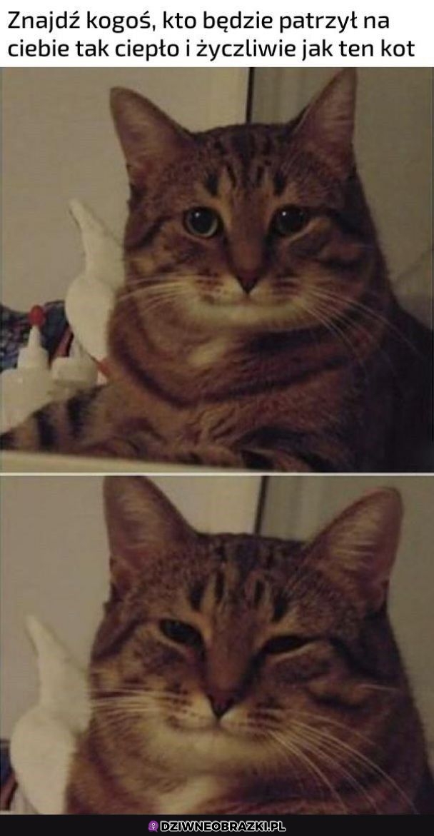 To spojrzenie