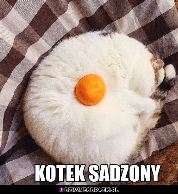 Sadzony