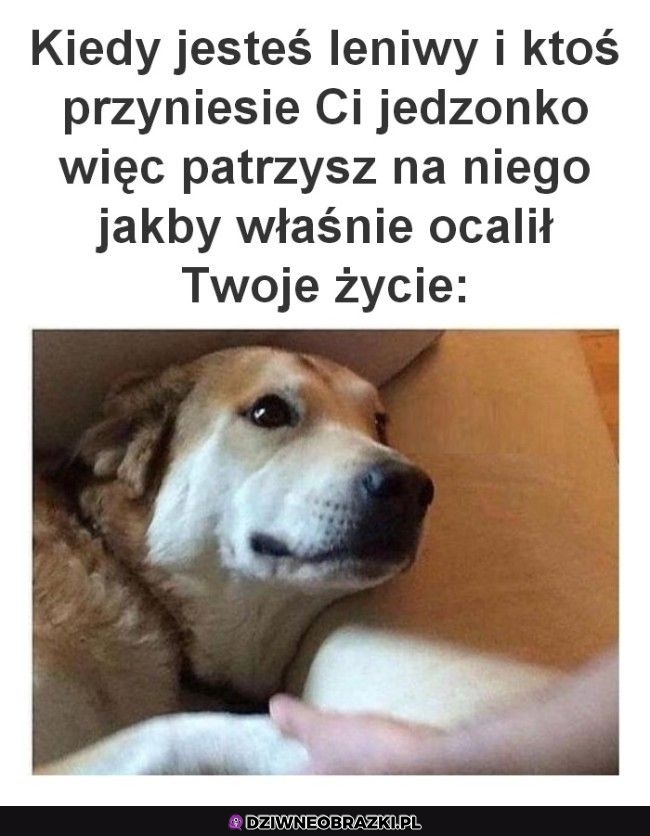 Ten moment