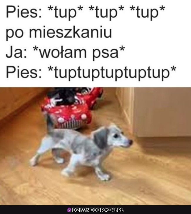Ten moment