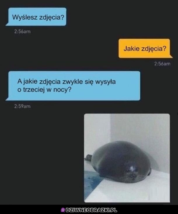 Wyślesz zdjecia?