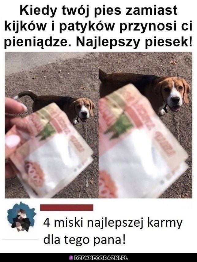 Najlepszy piesek