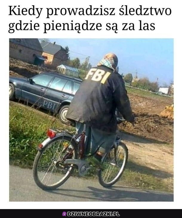 Gdzie piniondze są za las?