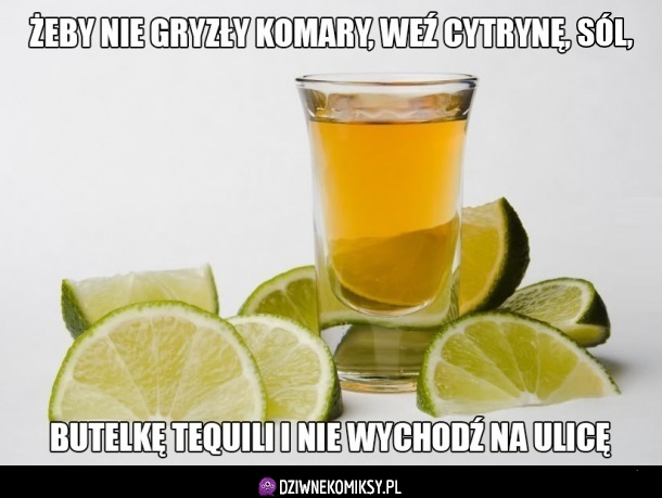 Sposób na komary