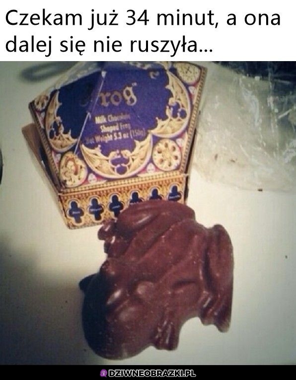 No rusz się