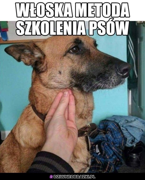 Włoska metoda