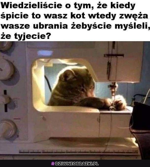 Właśnie tym się zajmują